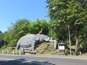 The area once had native elephants apparently and the Bakas Elephant park is nearby